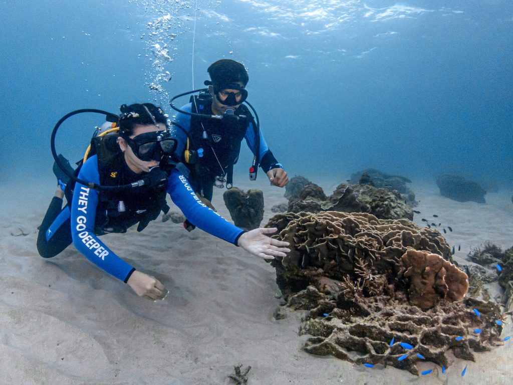 Scuba diving,Koh Tao,learn to scuba dive,Koh Tao,PADI Open Water Diver course,Koh Tao,Koh Tao scuba diving courses,best scuba diving schools,Koh Tao,Koh Tao diving experience,Koh Tao Scuba Club,Koh Tao Scuba Club Open Water course,scuba diving Thailand,beginner scuba diving