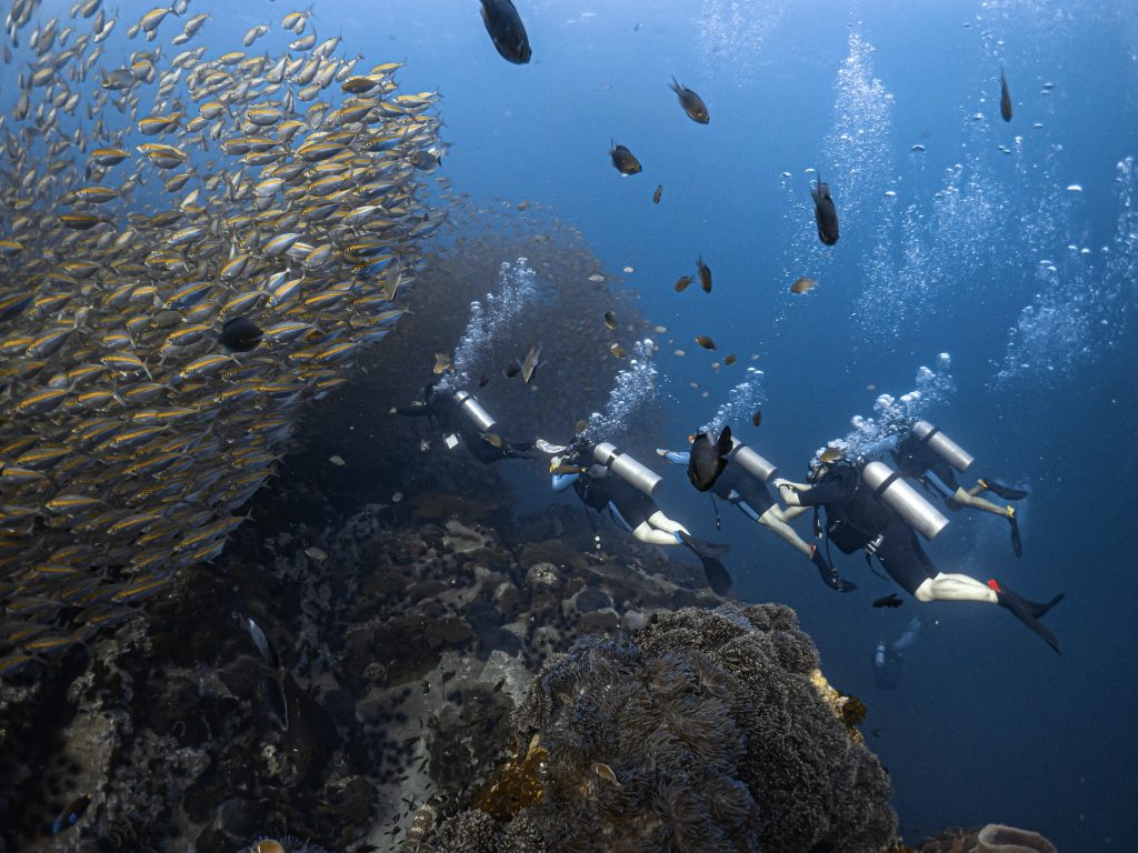 Scuba diving,Koh Tao,learn to scuba dive,Koh Tao,PADI Open Water Diver course,Koh Tao,Koh Tao scuba diving courses,best scuba diving schools,Koh Tao,Koh Tao diving experience,Koh Tao Scuba Club,Koh Tao Scuba Club Open Water course,scuba diving Thailand,beginner scuba diving