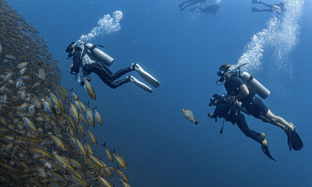 A group of professional divers in Koh Tao, Thailand, preparing for a dive in crystal-clear waters. They are equipped with scuba gear, surrounded by vibrant marine life and colorful coral reefs. The image highlights the hands-on training environment and stunning underwater scenery that SSI Pro certification candidates experience in Koh Tao.