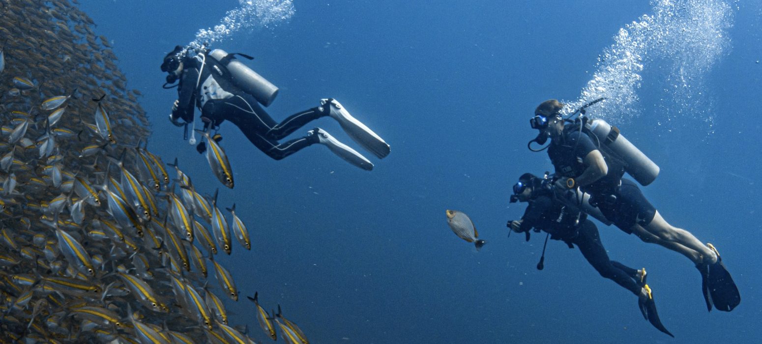 A group of professional divers in Koh Tao, Thailand, preparing for a dive in crystal-clear waters. They are equipped with scuba gear, surrounded by vibrant marine life and colorful coral reefs. The image highlights the hands-on training environment and stunning underwater scenery that SSI Pro certification candidates experience in Koh Tao.