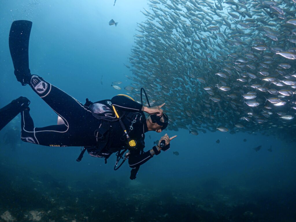 a man in scuba gear underwater with a school of fish.