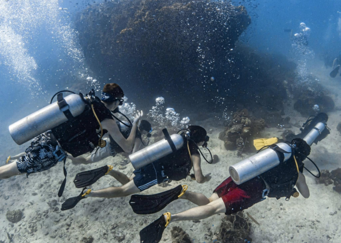 Three scuba divers exploring vibrant coral reefs and marine life in the crystal-clear waters of Koh Tao, showcasing the thrill of underwater adventures.