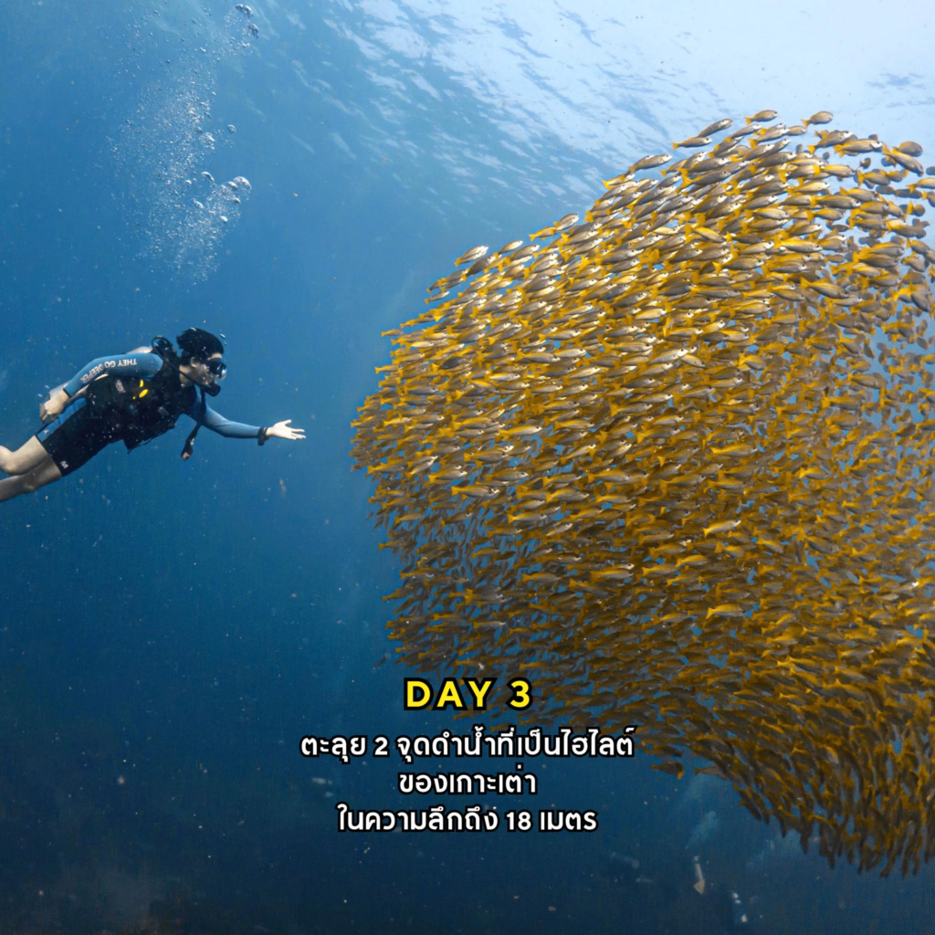 Students completing open water dives with an instructor in Koh Tao's crystal-clear waters